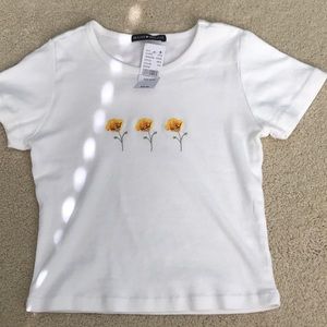 Brandy Melville Crop Top